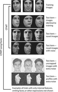 Face test