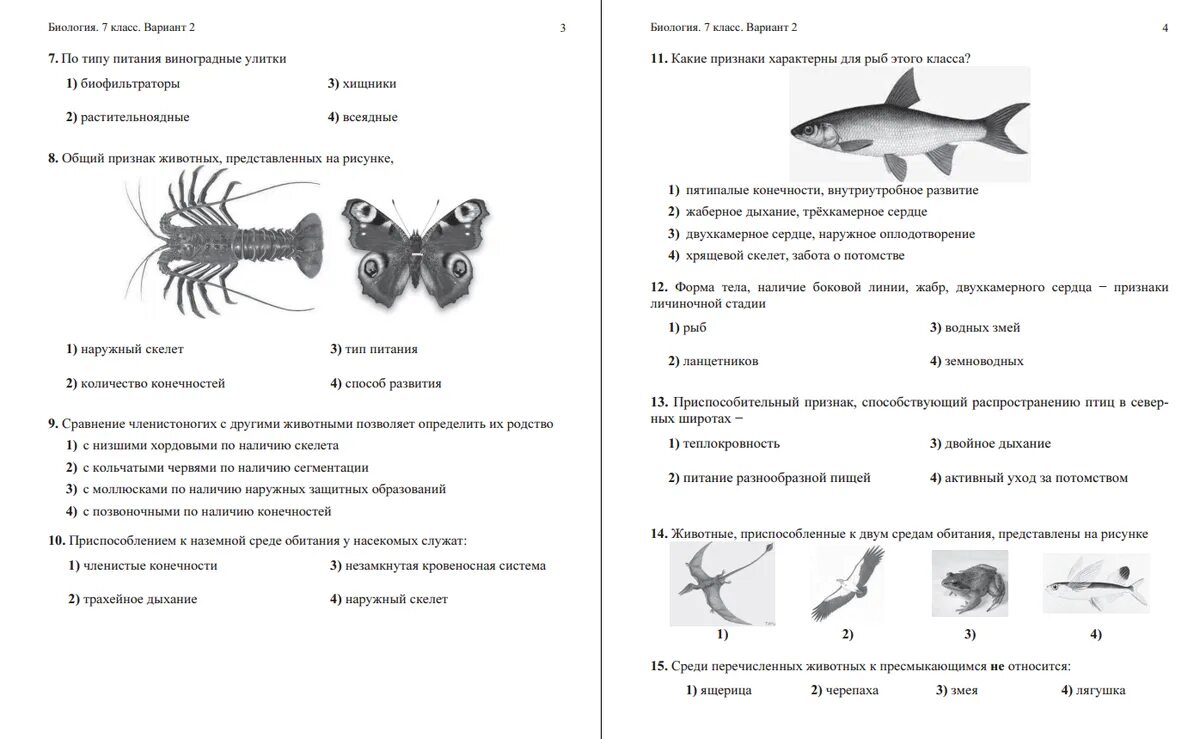 Тест Тип Хордовые класс рыбы 7 класс биология. Проверочная работа по биологии 8 класс рыбы ответы. Контрольная работа по биологии 7 класс рыбы. Тест по биологии 7 класс по рыбам.