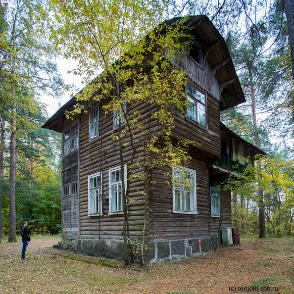 Ушково Зеленогорск. Детский городок Березка в Ушково. Детский санаторий Жемчужина Ушково. Санаторий Жемчужина СПБ Ушково. Kio commim spb ru