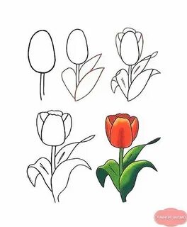 Рисовать 8 поэтапно