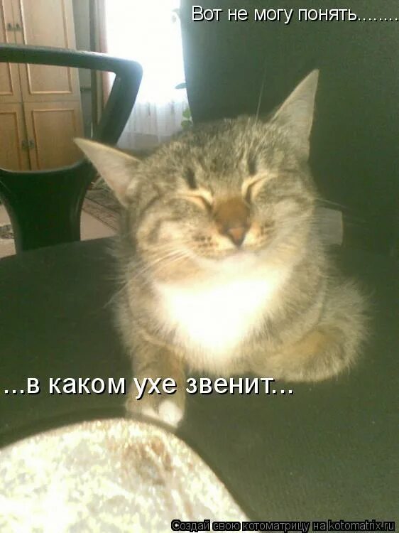 в каком ухе звенит зачем спрашивают. фрекен бок жужжит. постоянный звон в ушах. карлсон жужжит в ухе. в каком ухе звенит зачем спрашивают.