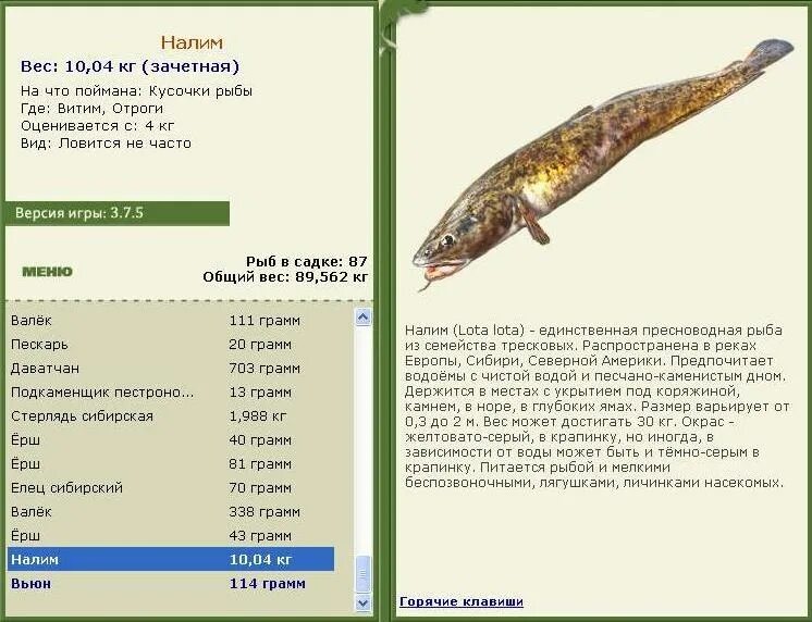 Рыбалка 3 щука. Русская рыбалка 3 Подкаменная Тунгуска щука. Налим рыба мальки. Большой налим вес.