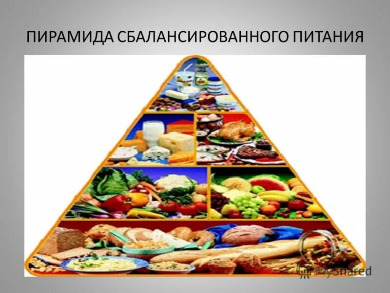 Сбалансированное питание компании