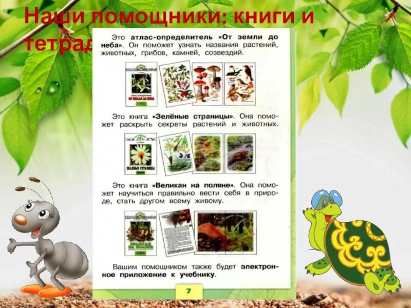 Читать книгу помощники