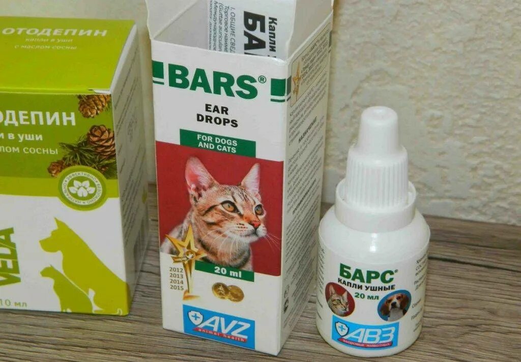 Ушные капли для котов. Барс ушные капли. Капли Барс от отодектоза для кошек. Капли для котят от ушного клеща 1.5 месяца. Барс от ушного клеща у кошек.