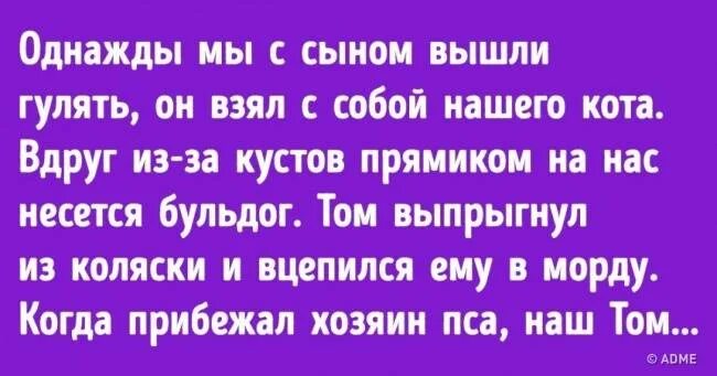 Взять погулять