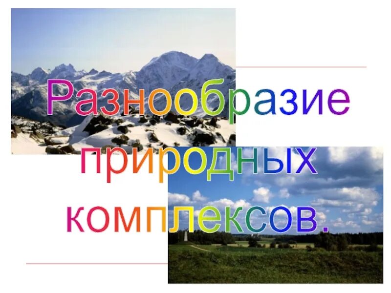 Разнообразие природных территориальных комплексов