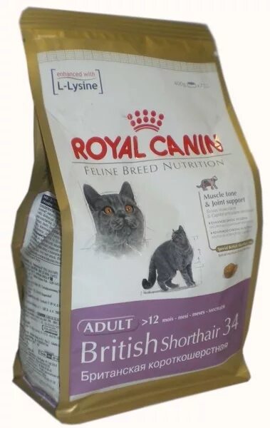 Корм для шотландских котят. British Shorthair Royal Canin 0.4. Royal Canin для шотландских кошек. Royal Canin для кошек Британская 4кг. Роял Канин для британских вислоухих кошек.