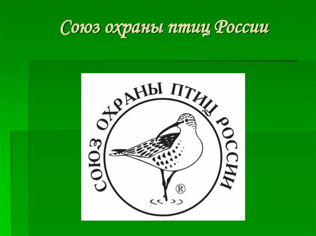 Союз охраны птиц россии птица года 2024. Сопр Союз охраны птиц России. Союз охраны птиц России логотип. Защита птиц в России. Охрана птиц в России.