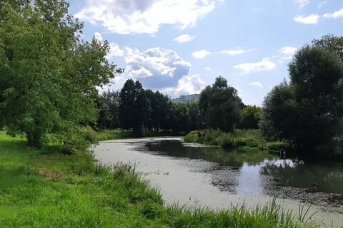 Баташевский сад