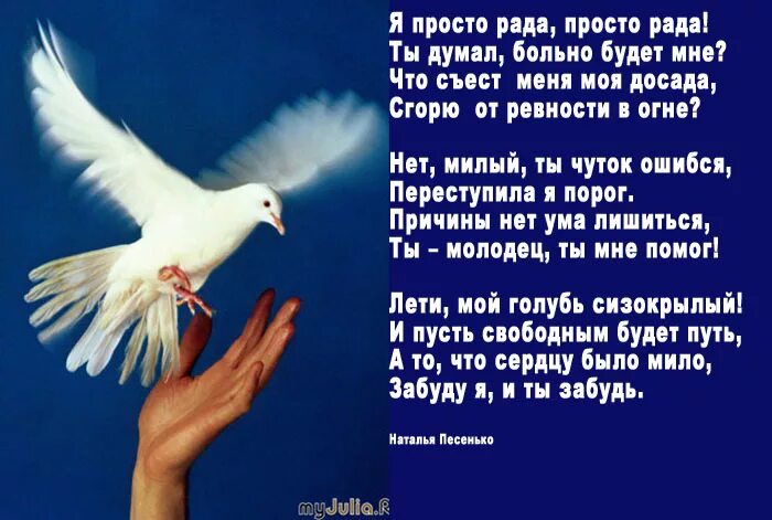 Стих о голубе. Стихотворение про голубя. Мой голубь сизокрылый.