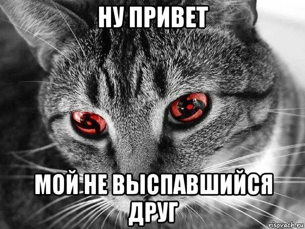 Ну привет коли не шутишь. Здравствуйте коль не шутите. Открытки здравствуй. Спасибо что заходите на страничку. Здорово коль не шутишь.