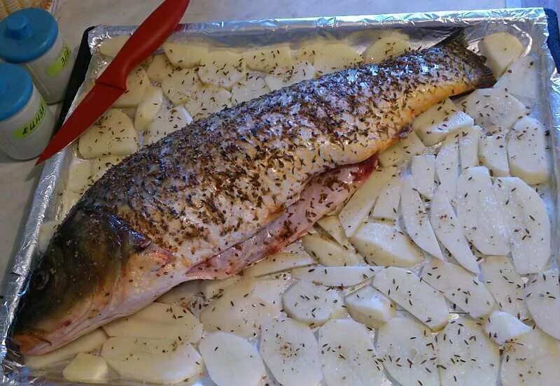 сазан в соли в духовке. как правильно замораживать свежепойманную рыбу. рыба в соленой корке запеченная. засолить сазана для холодного копчения. рыба в соли.