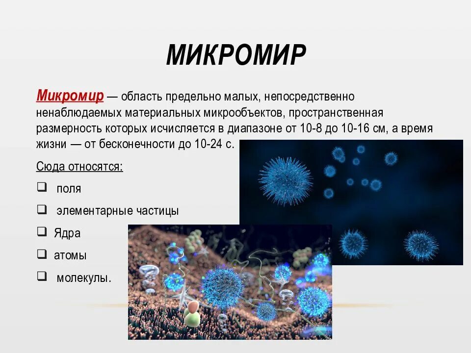 Микро понятия. Микромир характеристика. Структура микромира. Микромир в структурной организации. Строение микромира.