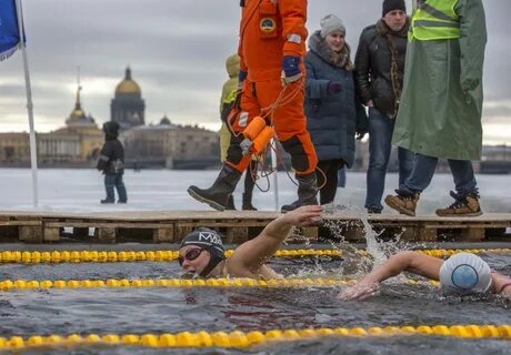 Моржи спб
