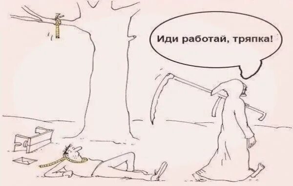 Чистоплотный человек как называется. Чистоплотный человек как называется