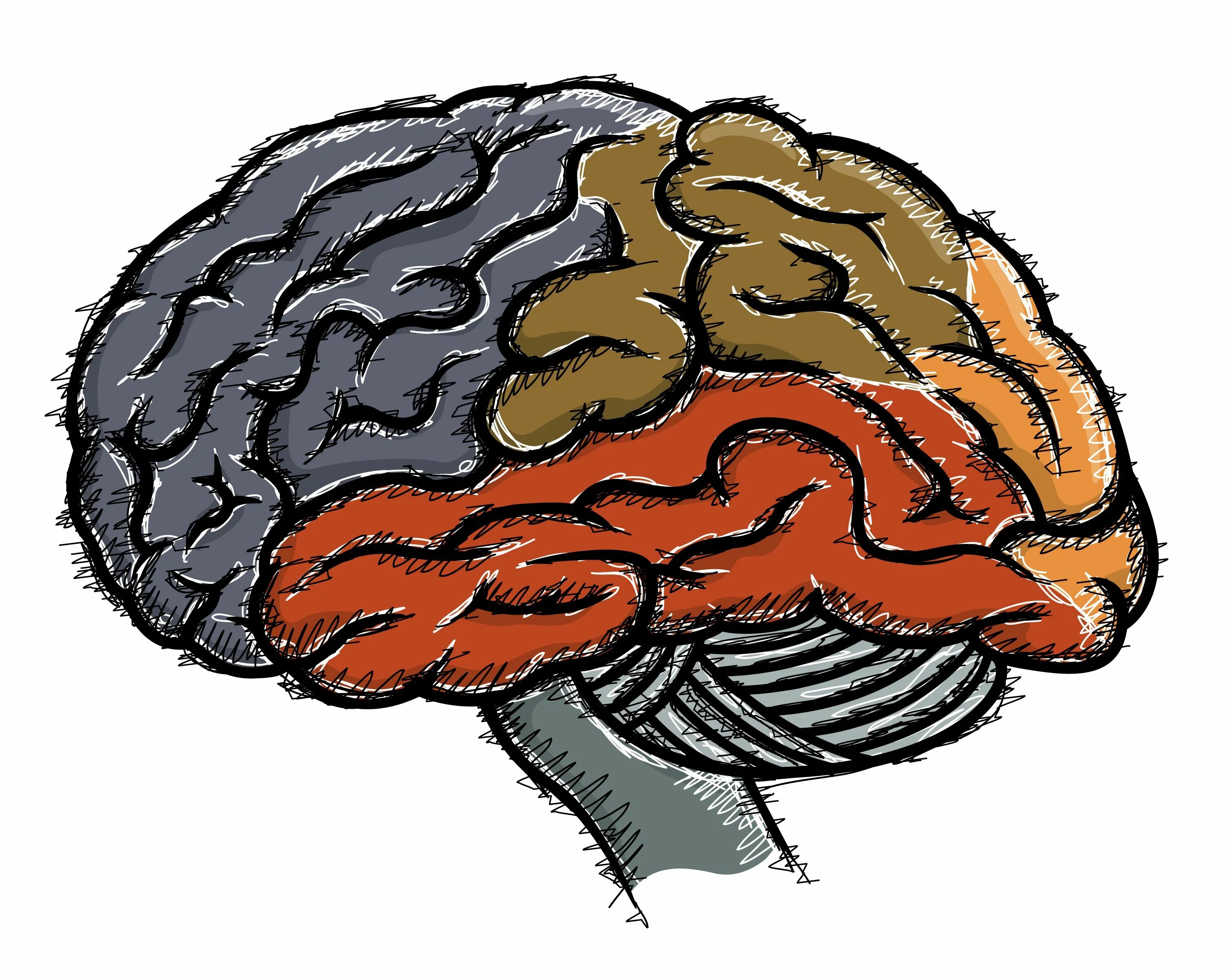 Brain and some. Мозг работает. Пассивная работа мозга. Мозг трудится.