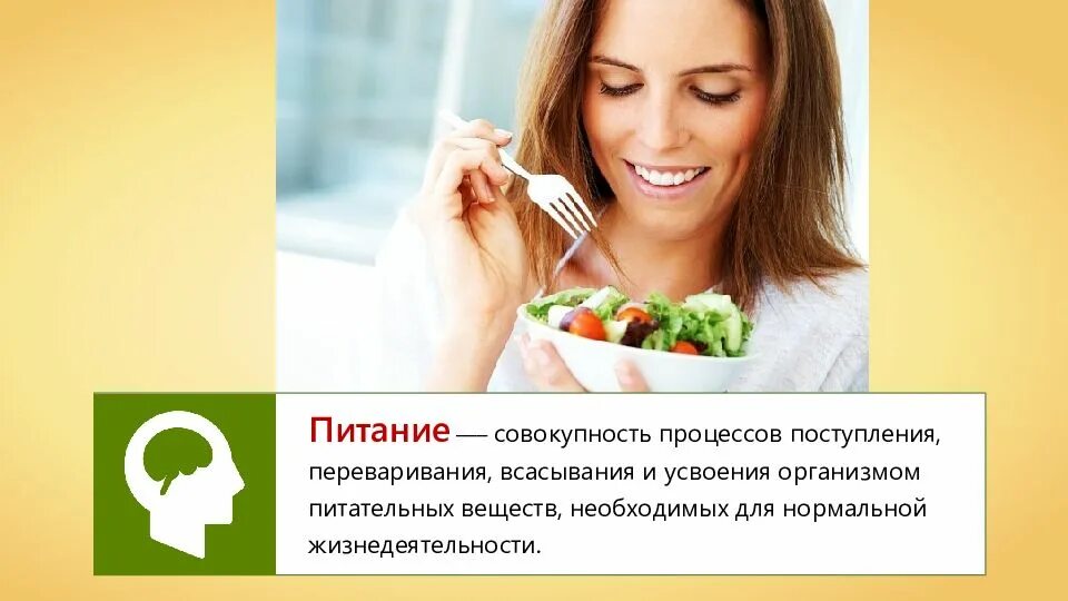 Питание и пищеварение значение питание. Питание и пищеварение. питание и пищеварение 8 класс. питание и пищеварение 8 класс биология. питание и пищеварение презентация.