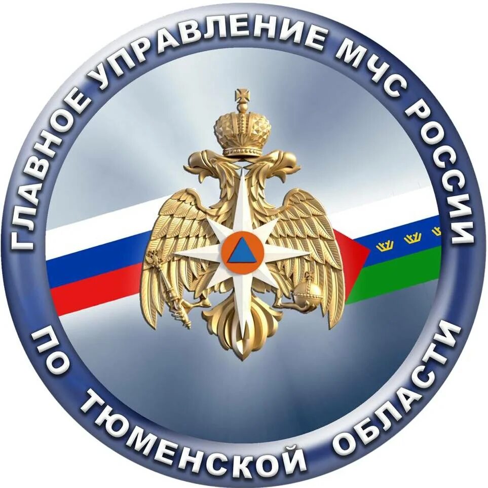 Хачатрян мчс. Вольнонаемный сотрудник мчс. Мчс заводоуковск. Областное управление мчс тюмень. Мчс тюменской.