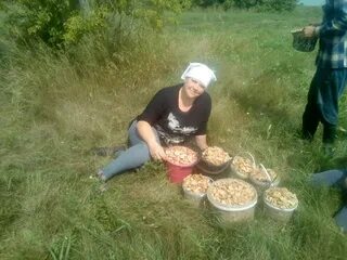 Доирост курган