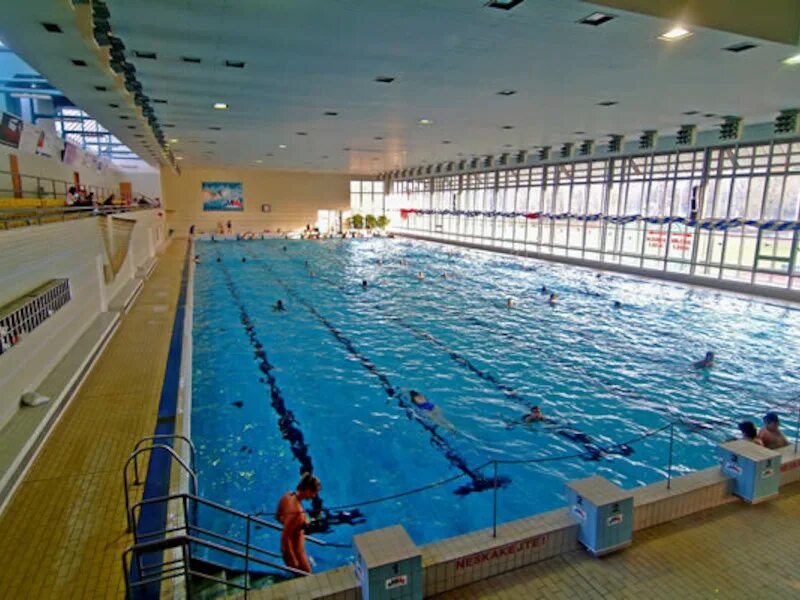 Большой бассейн 25 метров. Частный бассейн 25 метров. Бассейн 25 метров дома. Санкт-Петербург бассейн 25 метров. Бассейн 25 15
