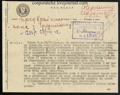 583 указ 08.07 2024