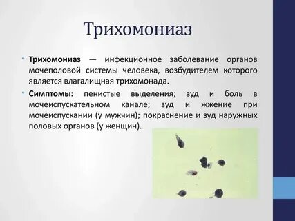 Почему после полового акта появляется выделение