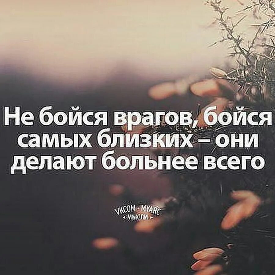 Именно близкий. Цитаты про предательство близких и родных. Предательство от близких людей цитаты. Цитаты о предательстве близких со смыслом. Предают самые близкие цитаты.