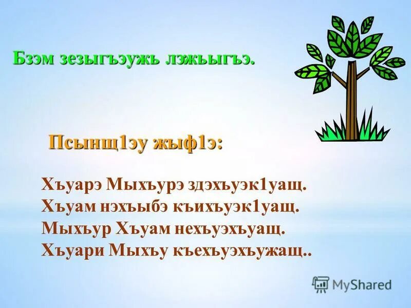 Пословицы на кабардинском языке. Загадка на кабардинском языке. Пословицы на кабардинском языке. Кабардинские загадки. Фрукты на кабардинском языке.