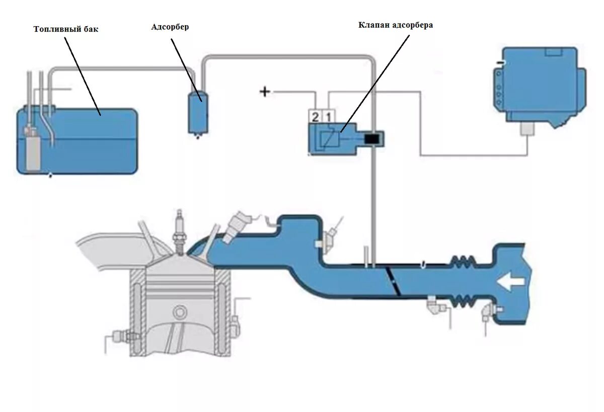 Неисправность клапана абсорбера. Калина 1 клапан продувки абсорбера. Клапан абсорбера Калина 8 клапанов. Электромагнитный клапан адсорбера Калина.