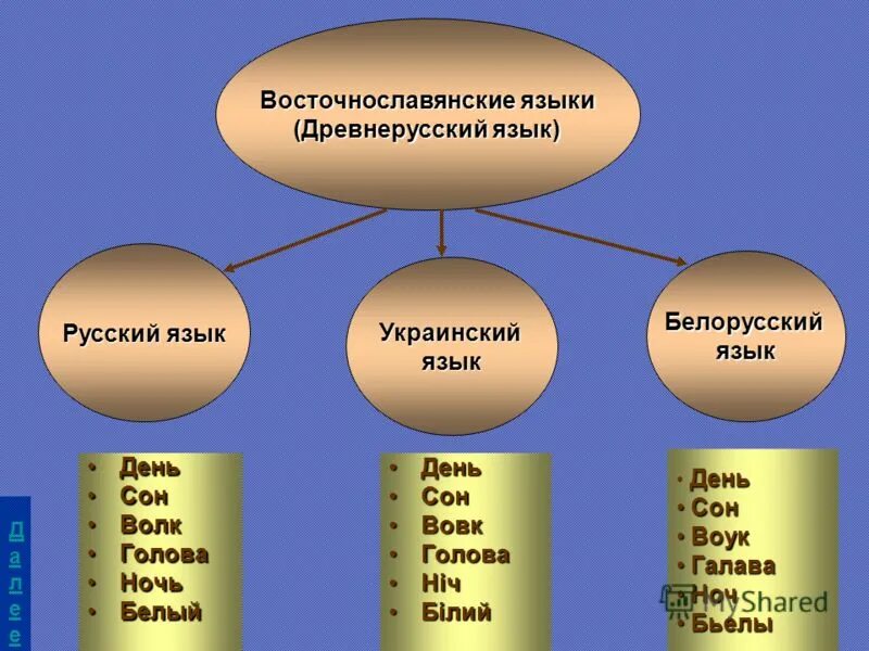 славянские языки по группам таблица. воссточно словчнские языки. восточнославянских языков. восточно славянский язык. древнерусская лексика примеры.