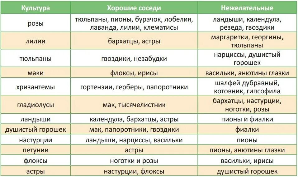Можно посадить рядом