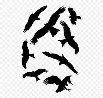 Bird set