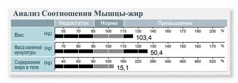 Соотношение жировых и мышечных тканей