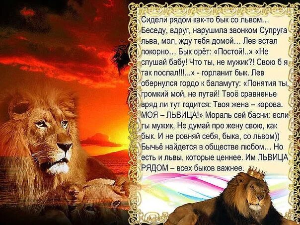Стих про льва. Высказывания про льва. Лев расшифровка имени. Лев какой слова. Стишок про льва для детей.