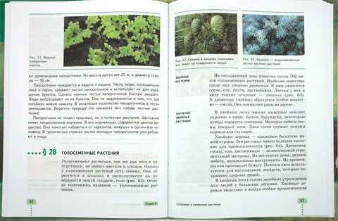 Коррекционная школа 8 класс биология