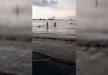 Море темнело огэ