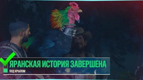 Нашли петуха