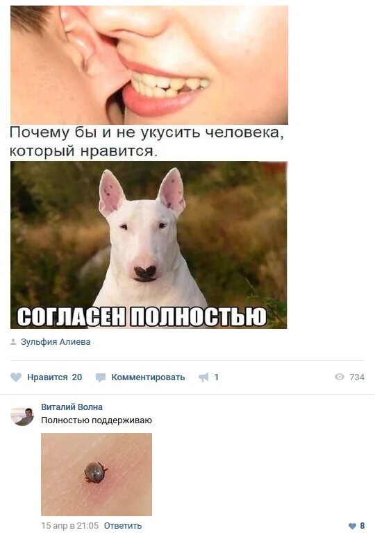 Как называется когда хочешь укусить человека любимого. Укусить любимого человека. почему бы не укусить. хочется укусить.