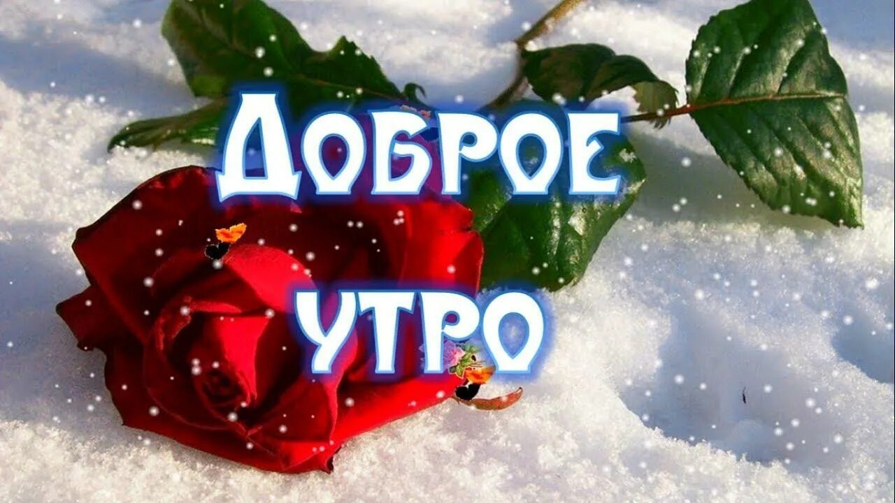 Доброго зимнего утра девушке