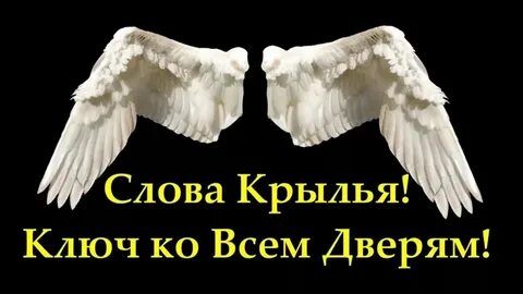 Значение слова крыло
