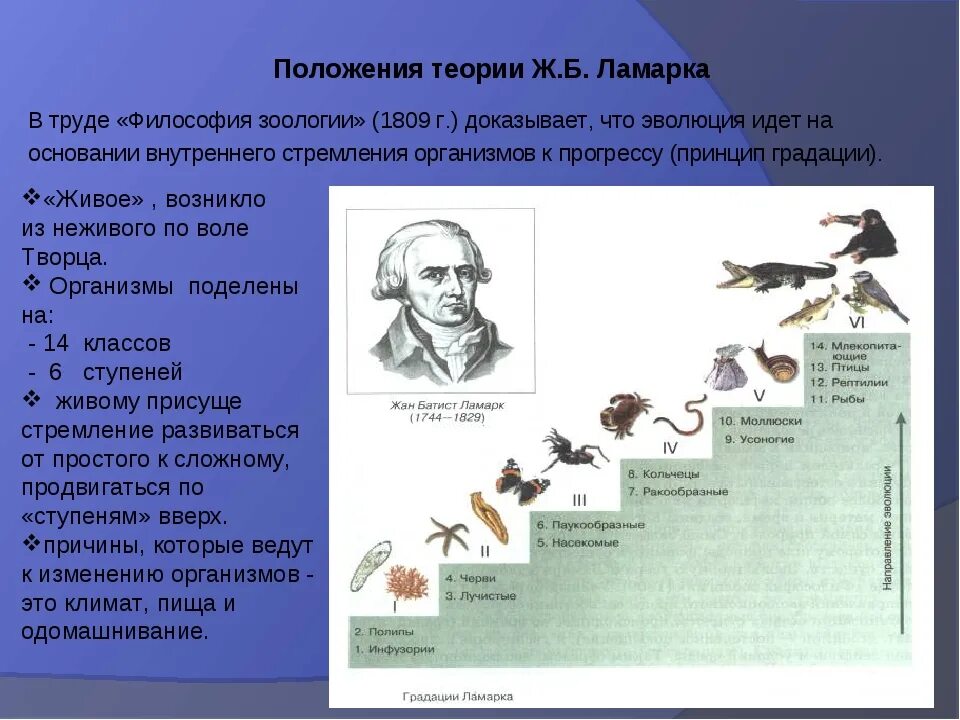 Когда возник первый живой организм. Ж Б Ламарк философия зоологии.