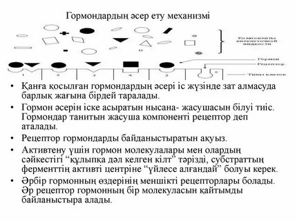 Гормондар