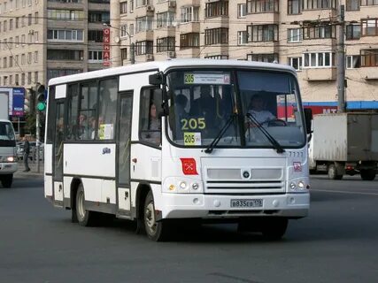 205 автобус спб