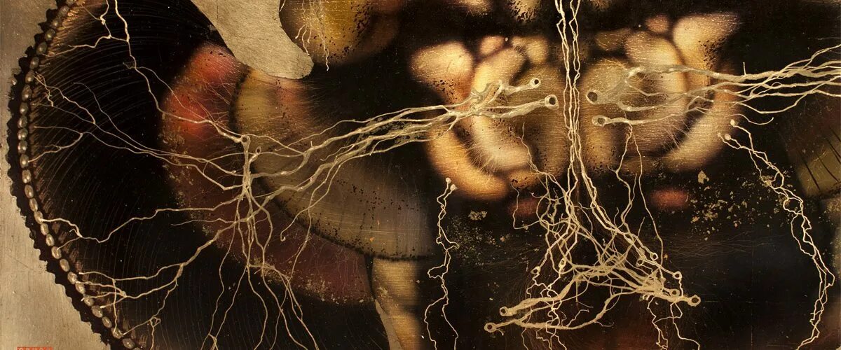 Исследование мозга человека. Искусственный интеллект. Медицина будущего. Перспективные исследования мозга. Перспективные исследования мозга.