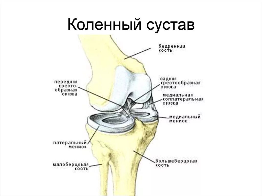 Повреждение менисков левого коленного сустава