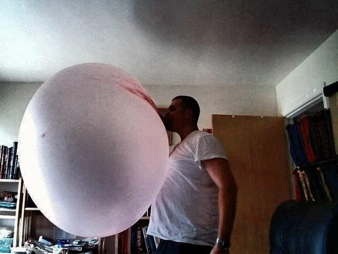 Воздушный резиновый шар надули и завязали. Самый большой пузырь из жвачки. Самый большой шар из жвачки. Надул большой шарик. Надуть большой шар.