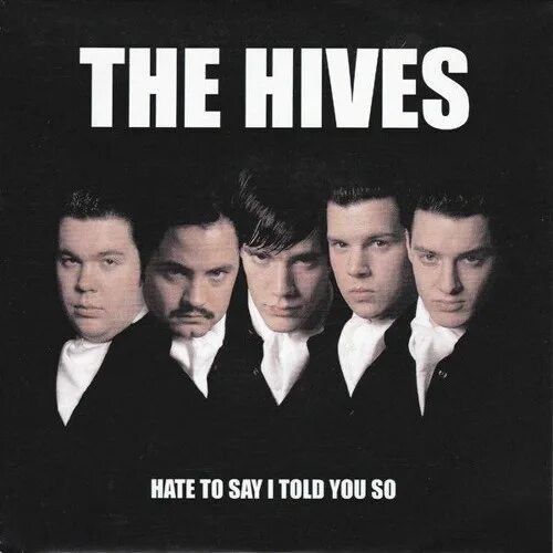 Say you hate. Hate to say i told you so the hives. the hives шведская рок-группа. the hives 2025. the hives bogus operandi.