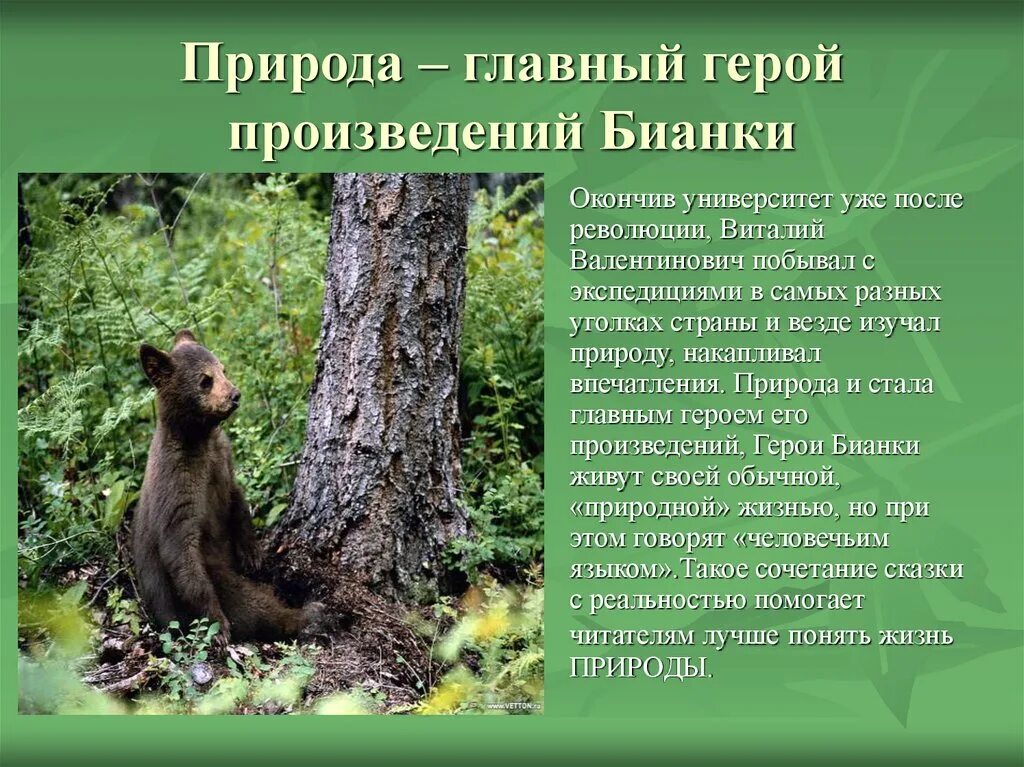 Рассказы о природе. Стих на тему природа. Рассказ о природе 2 класс. Стихи о природе с автором. Короткий текст о природе.