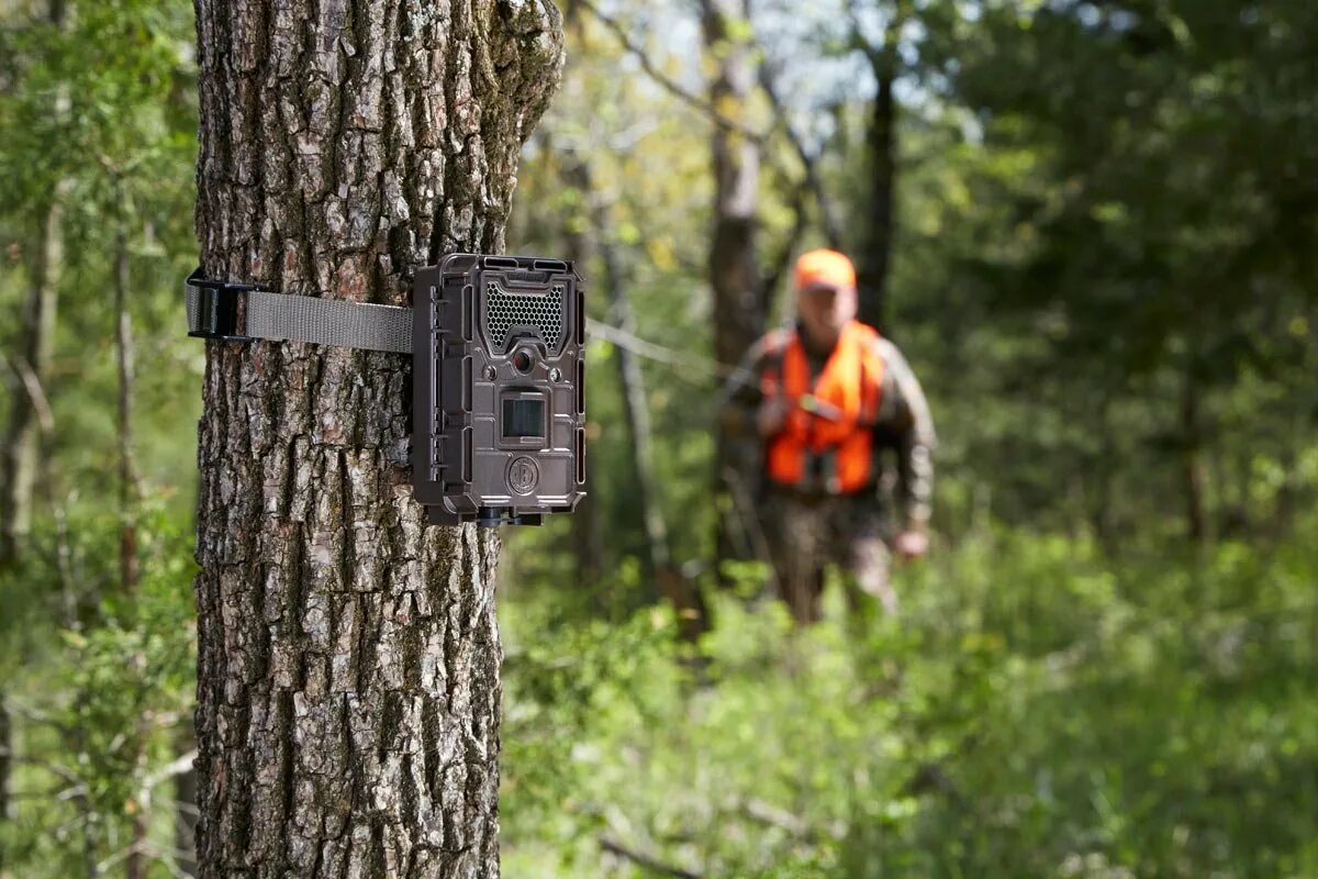 Что такое фотоловушка в биологии. Фотоловушка Бушнелл. Фотоловушка камера Bushnell Trophy. Фотоловушка Бушнелл камо119445. Фотоловушка Trail Camp r300.